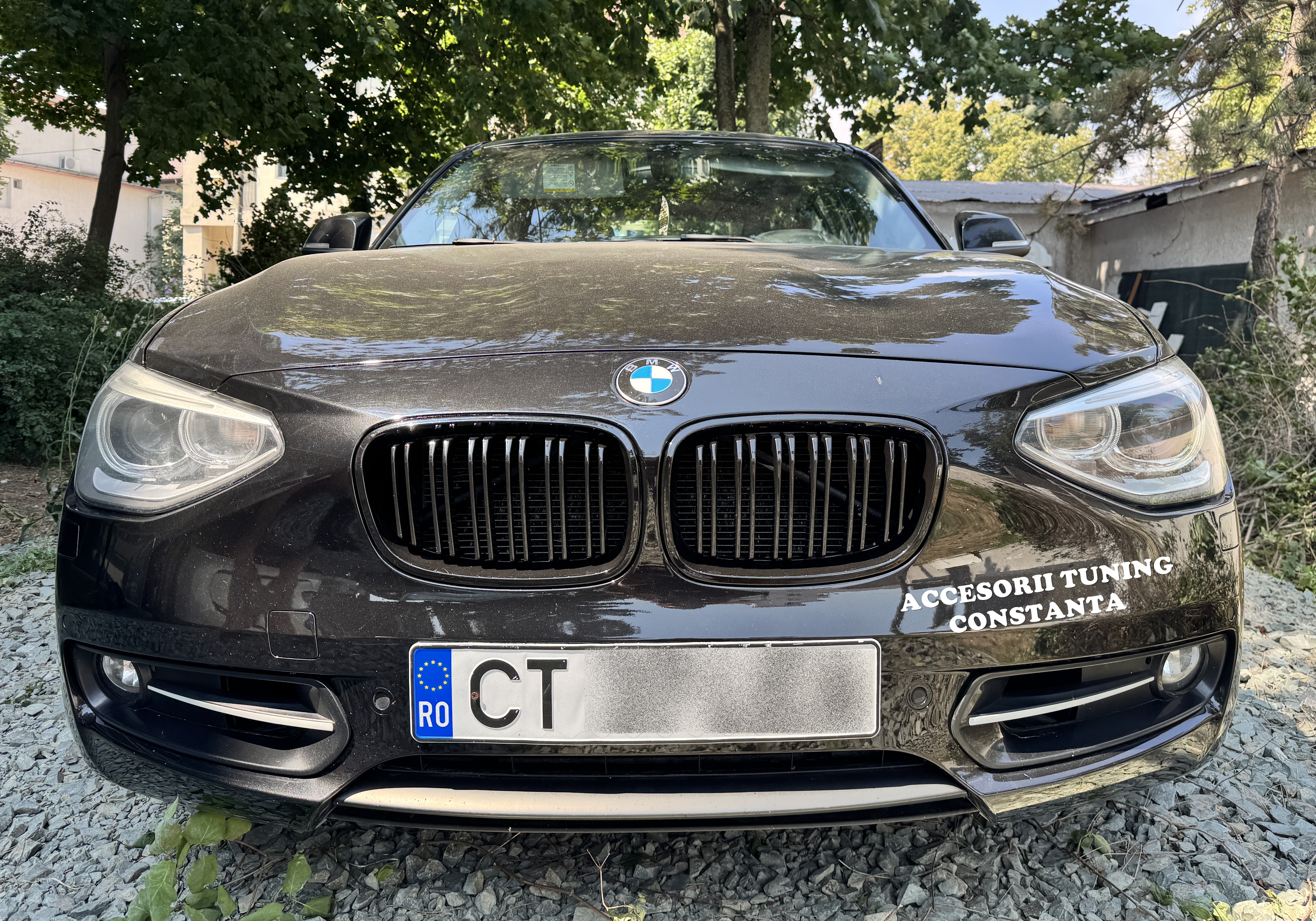 Grile - Nari Duble BMW Seria 1 F20 NonFacelift 2011 - 2014